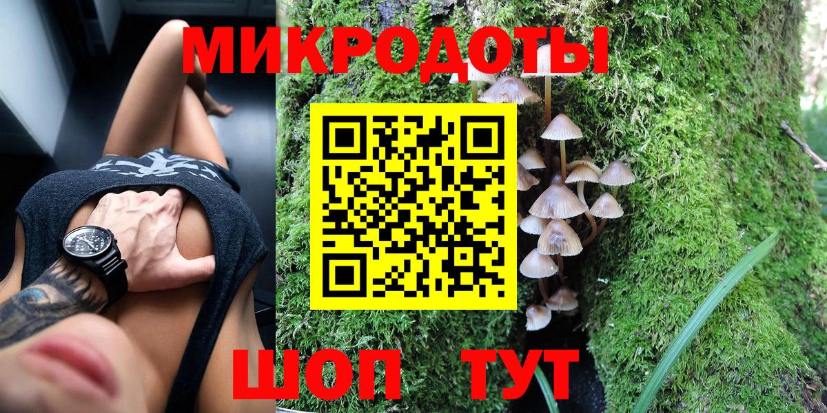 Нижнекамск  Галлюциногенные грибы Psilocybe  Вход с VPN 