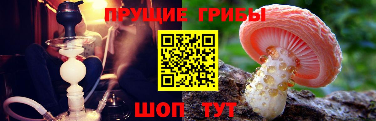Галлюциногенные грибы Cubensis Нижнекамск